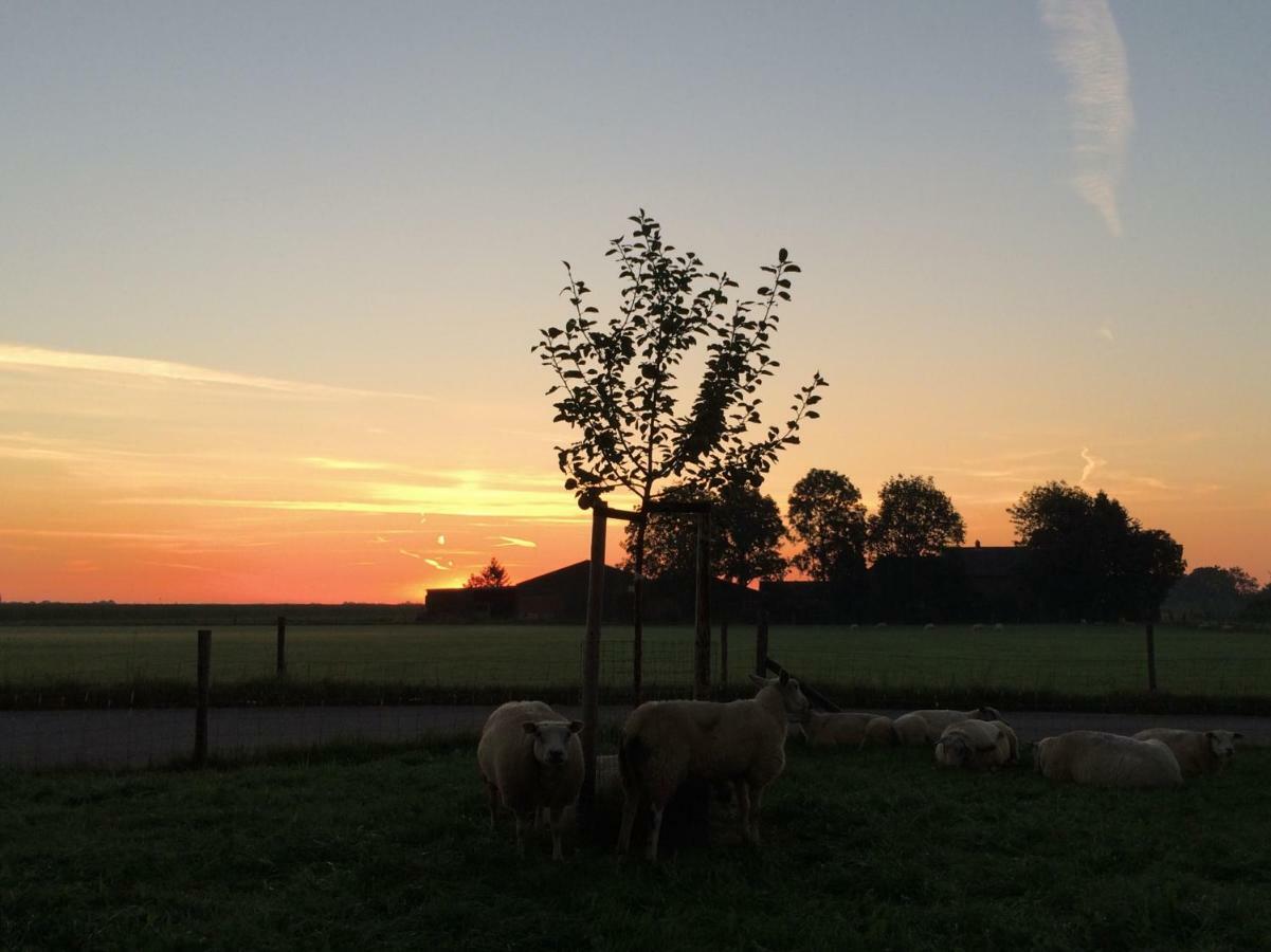 Boerengastenverblijf De Kromme Rijn Cothen 外观 照片