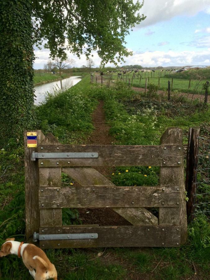 Boerengastenverblijf De Kromme Rijn Cothen 外观 照片